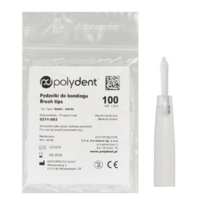 Pędzelki do uchwytu 100szt.