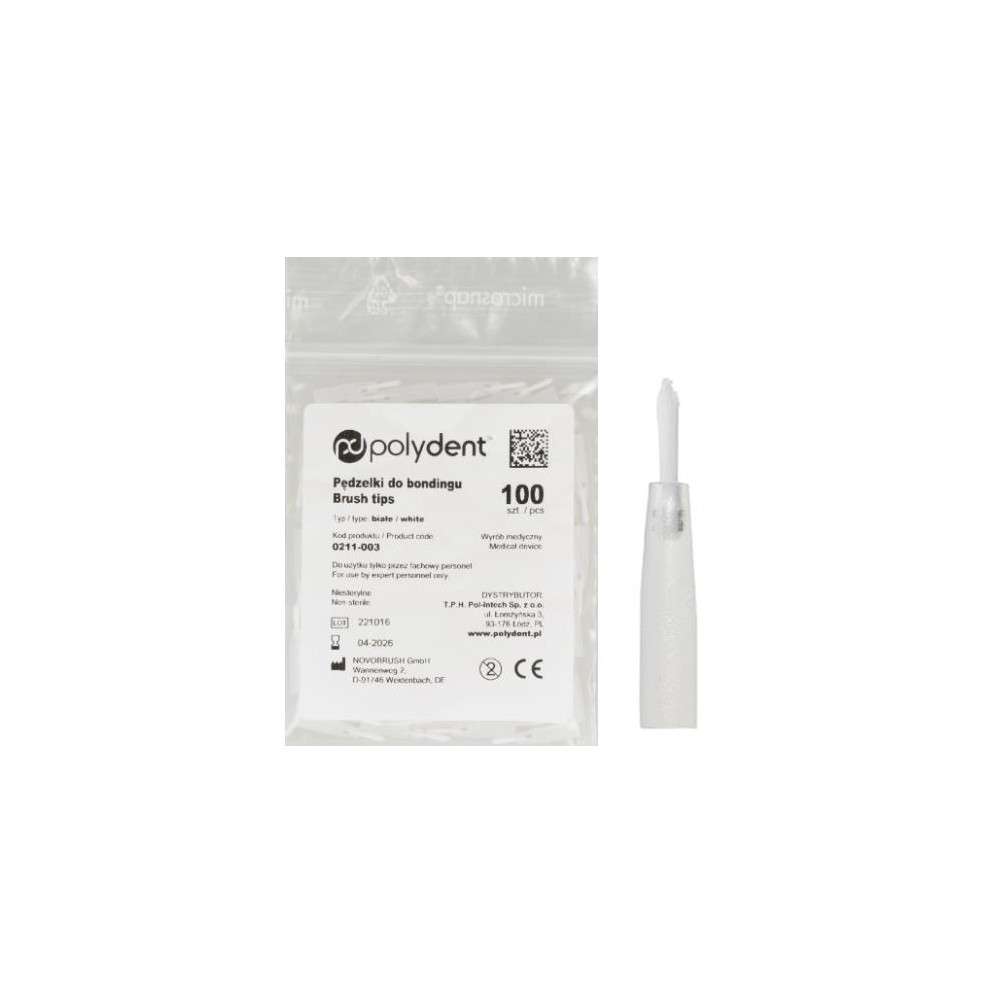 Pędzelki do uchwytu 100szt.