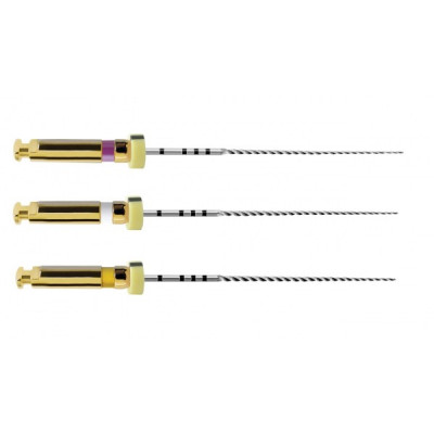Instrumenty Pathfile   6szt. Dentsply